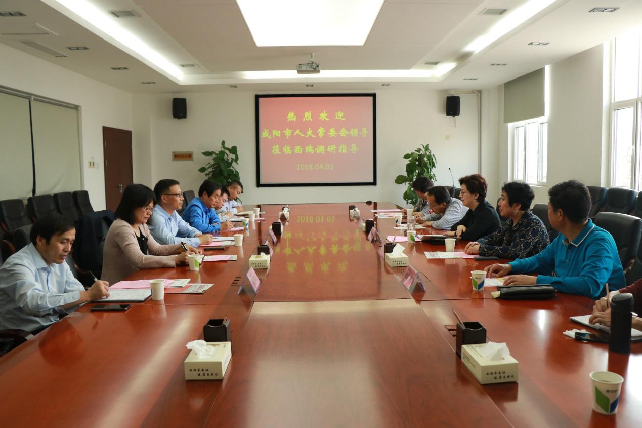 咸陽市人大黨組副書記、副主任肖芳到西瑞集團考察調(diào)研