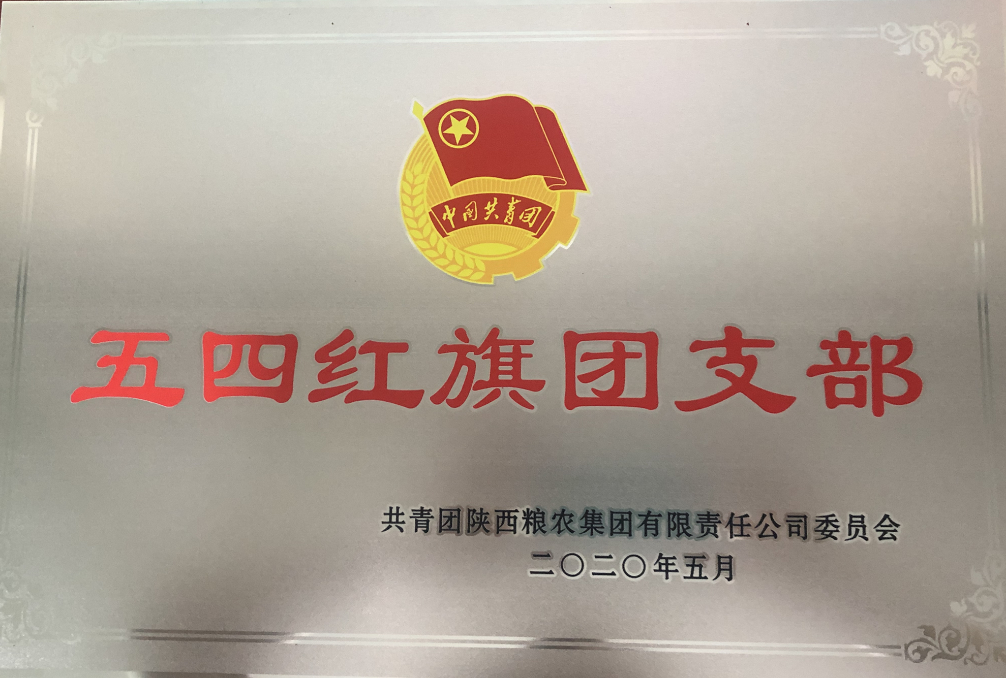 喜報！五四青年節(jié)，油脂集團多位青年喜獲陜西糧農(nóng)集團榮譽！