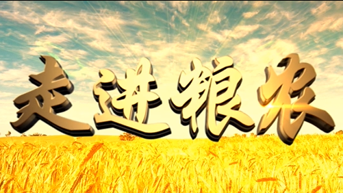 4分鐘，閱讀奮斗崛起中的糧農集團！