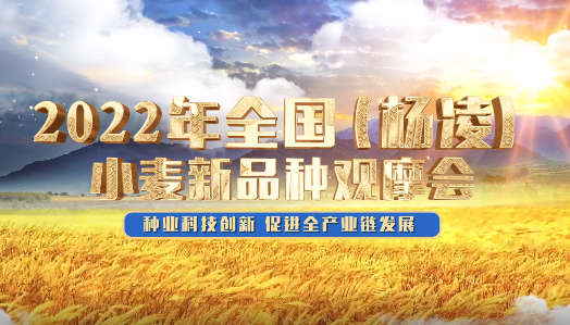加強科技創(chuàng)新 促進全產業(yè)鏈發(fā)展
