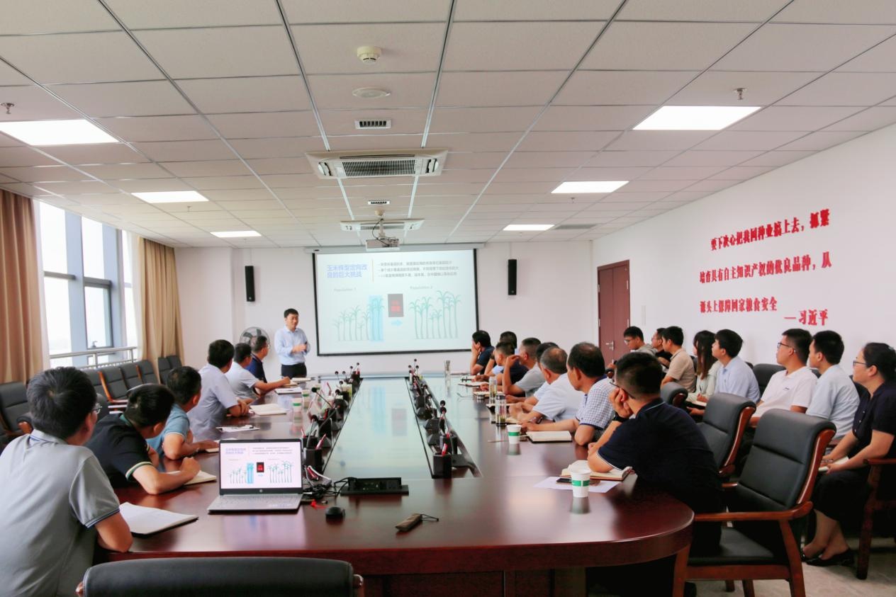 秦豐種業(yè)：舉辦玉米精準智能設計育種體系 CornGPT專題培訓會議